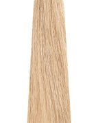 10.13/10AG Ash Golden Platinum Lightest Blond