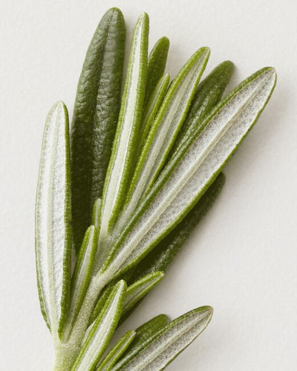 Product build-up, chlorine and damaging mineral deposits are a thing of the past with Renew's gentle, color-safe revitalizing formulation.