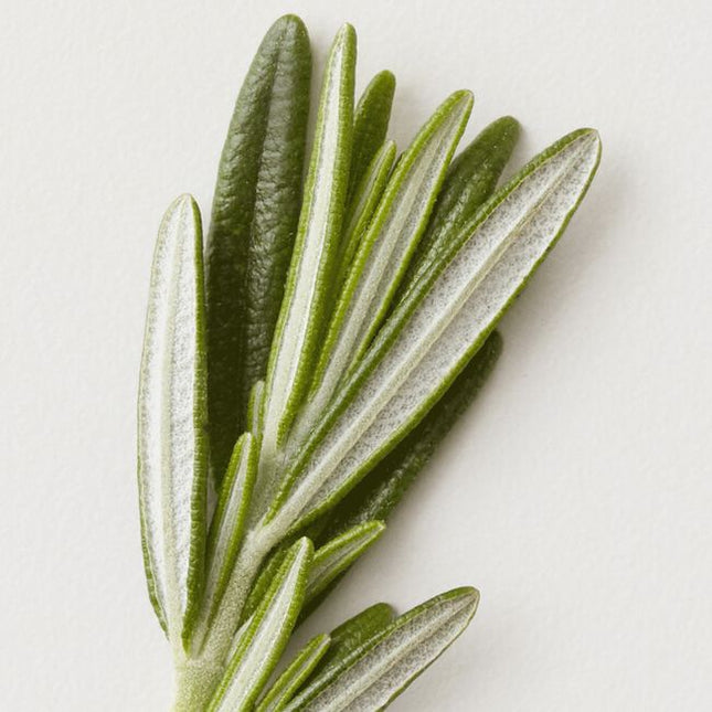 Product build-up, chlorine and damaging mineral deposits are a thing of the past with Renew's gentle, color-safe revitalizing formulation.