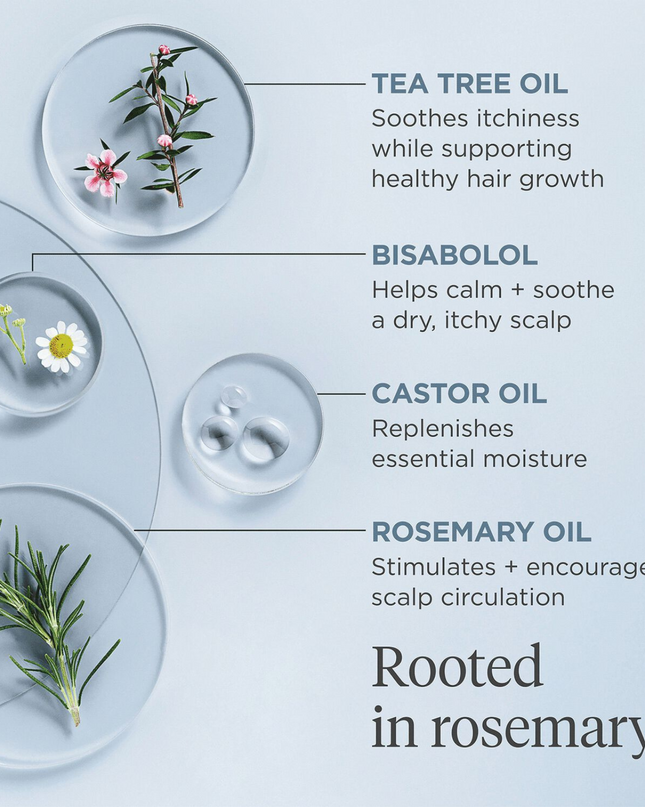 A hair and scalp pre-wash treatment formulated with biomimetic lipid-rich oils and vitamins that strengthen the skin’s moisture barrier while deeply nourishing the hair. Rosemary oil, tea tree oil, and bisabolol help soothe a dry scalp and create a balanced environment to support healthy hair.