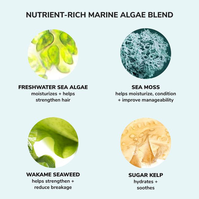 Money Laundering Shampoo contains nature’s most notorious water-grabbing and hydrating ingredients, Hyaluronic Acid plus four nutrient-rich marine algae. This gentle wash delivers a surge of hydration, leaving the hair and scalp in optimal condition, strands looking supple, super-healthy and shiny.