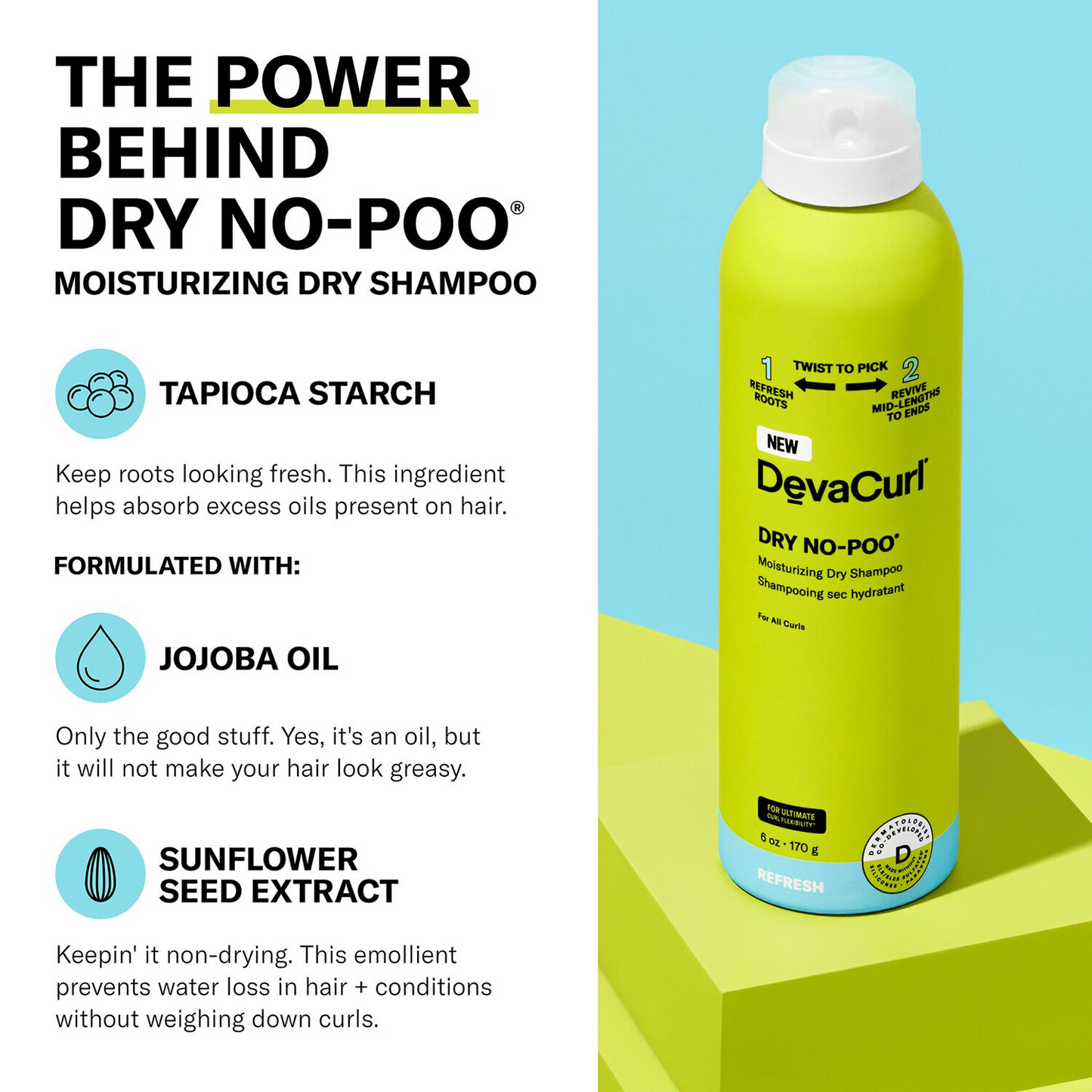 Deva Curl Dry No-Poo Moisturizing Dry Shampoo