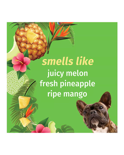 2-in-1 Herbal Shampoo & Conditioner for dogs to cleanse + hydrate