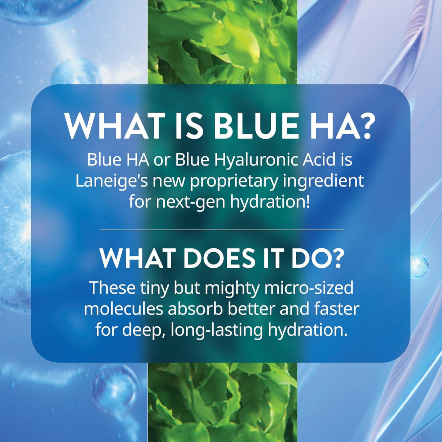 LANEIGE - Water Bank Blue Hyaluronic Cream Moisturizer
