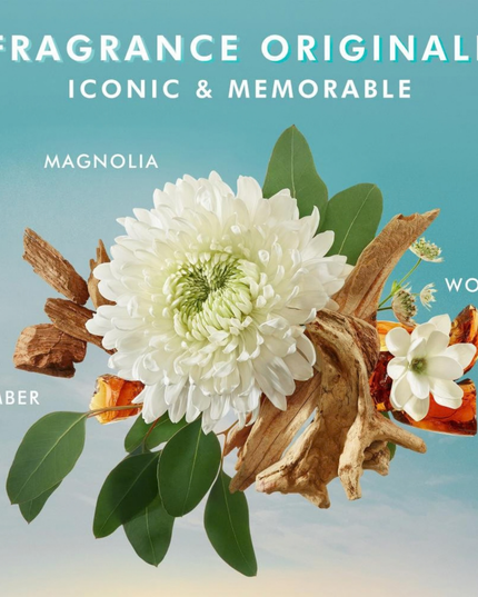 Moroccanoil Body Hand Cream Fragrance Originale is a luxurious and concentrated hand moisturizer created with nutrient-rich argan oil and avocado oil as well as cocoa, shea and mango butters to moisturize and help repair dry hands. The weightless hand cream absorbs into the skin quickly to leave them soft and supple. Delicately fragranced with the signature Moroccanoil scent.