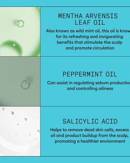Nioxin Professional System 3 is for colored, dry or damaged hair with light thinning.