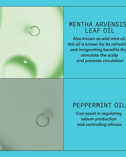 Nioxin Professional System 3 is for colored, dry or damaged hair with light thinning.
