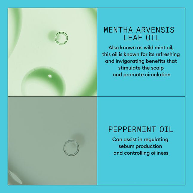 Nioxin Professional System 3 is for colored, dry or damaged hair with light thinning.