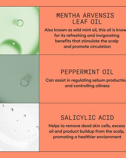 Volumizing cleanser helps to remove follicle-clogging sebum, fatty acids and environmental residues from the scalp and hair. Cleanses to provide thicker-looking hair. For noticeably thinning, fine, chemically treated hair.

Packaging may vary.