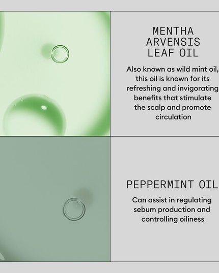 A facial for the scalp. A scalp dermabrasion treatment One application per bottle. Recommended every 30-45 days in salon. This invigorating service is suitable for both women and men.