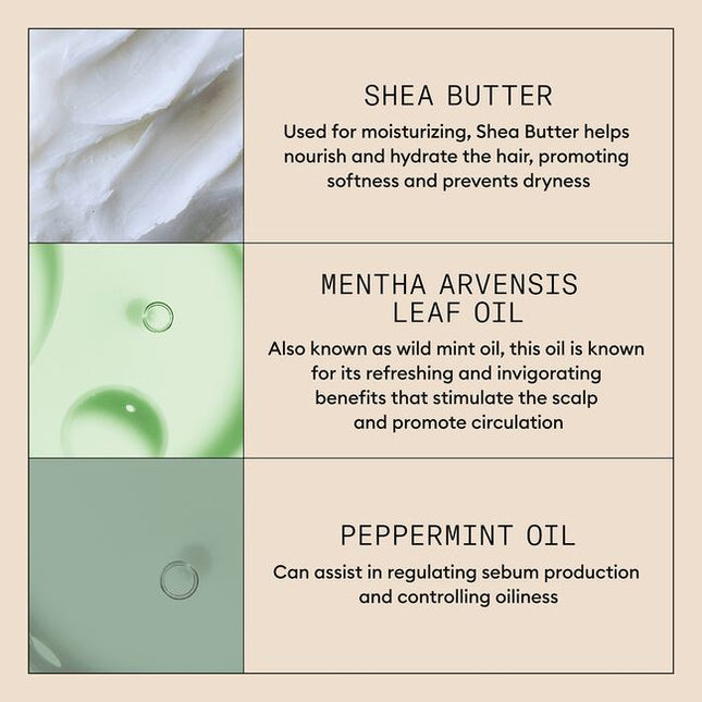 Nioxin introduces Purifying Exfoliator A new treatment for dandruff and scalp care. Purifying Exfoliator is the best partner for the Nioxin Scalp Recovery 3-Step System or with any System of Choice, if Dandruff is not a concern. It may also be used by anyone that wants a clean healthy scalp, not just to treat Dandruff. Help your clients de-stress and make peace with their scalp!