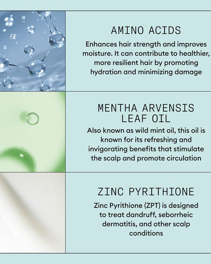 Scalp recovery is specially designed for scalp-related problems, including seborrheic dermatitis and dandruff. It provides moisture balance to dry, itchy scalp and dry hair, eliminating irritation and flaking. Moisturizing Conditioner - daily conditioner that helps reduce dandruff, soothing the scalp and providing smoothness and manageability to the hair.