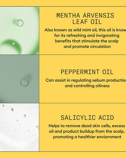 Helps to remove follicle-clogging sebum, and environmental residues from the scalp and hair. Cleanses to provide thicker-looking hair. For normal to thin-looking, fine, natural hair.