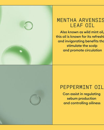 A lightweight conditioner that helps provide hair resilience and moisture balance control for normal to thin-looking hair, fine, natural hair.