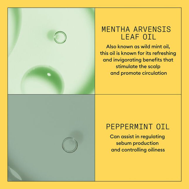 A lightweight conditioner that helps provide hair resilience and moisture balance control for normal to thin-looking hair, fine, natural hair.