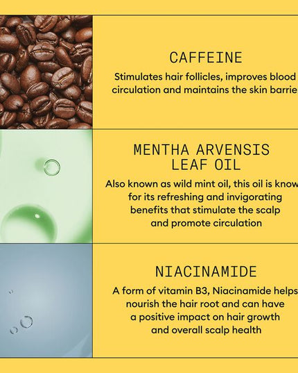 A volumizing leave-on treatment that contains antioxidants and botanicals that help to provide a refreshed scalp environment for normal to thin-looking hair, fine, natural hair.