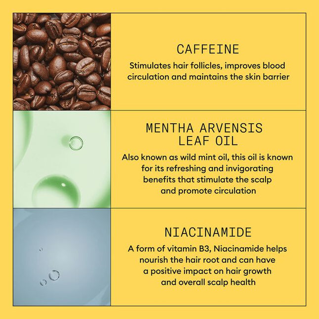 A volumizing leave-on treatment that contains antioxidants and botanicals that help to provide a refreshed scalp environment for normal to thin-looking hair, fine, natural hair.