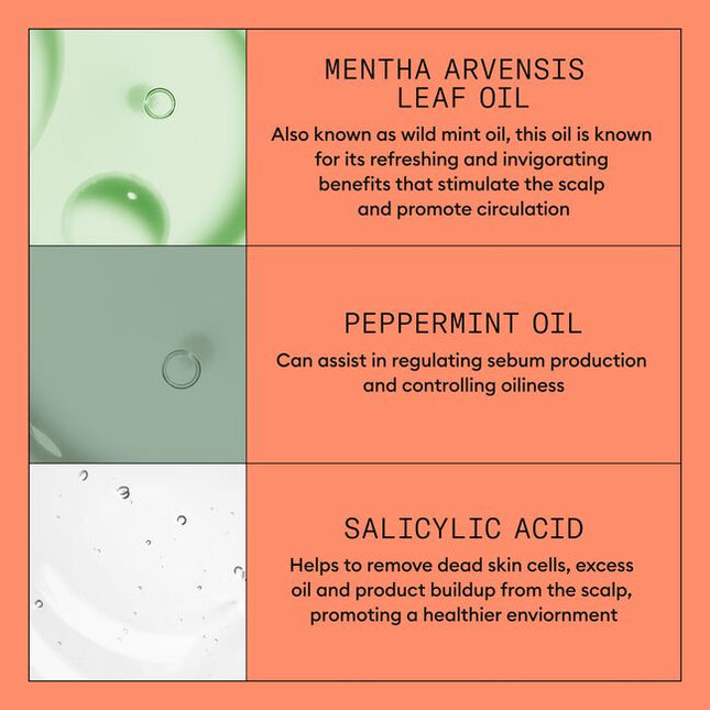 Nioxin Professional System 4 is for colored, dry or damaged hair with progressed thinning.