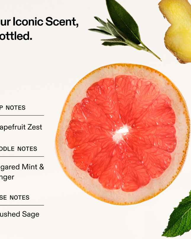 A limited-edition hair & body mist of our signature scent with key notes of grapefruit zest and sugared mint.