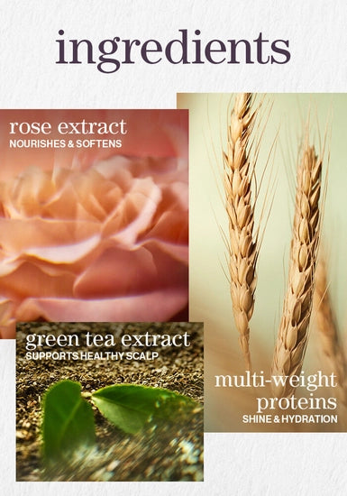 Creamy, luxurious shampoo that deeply hydrates normal to thick dry, color-treated hair. Thirst-quenching formula provides superior moisture, touchable softness and extraordinary color protection.