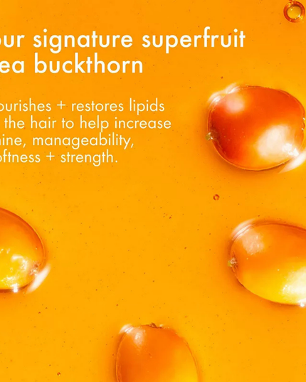 A supersized wash-care set packed with superfruit-powered vitamins and nutrients for soft, nourished hair.
